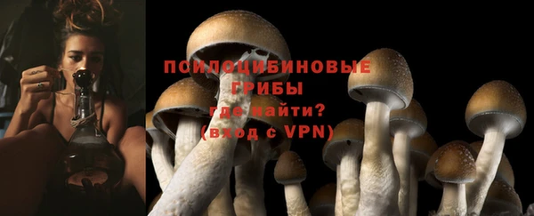 а пвп мука Куровское