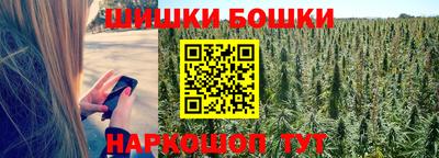 spice Кунгур