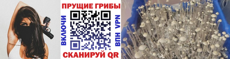 Псилоцибиновые грибы мухоморы Малоярославец