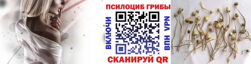 Галлюциногенные грибы прущие грибы  Малоярославец 