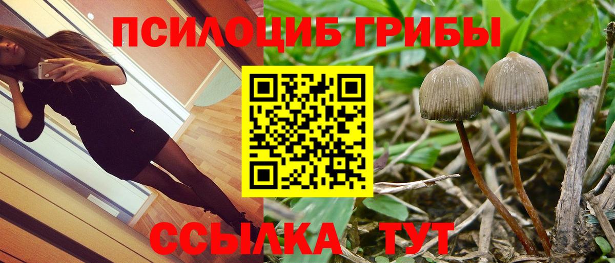 Псилоцибиновые грибы ЛСД  Малоярославец 