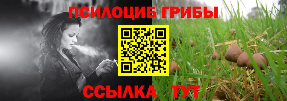 ГАШИШ  Вход с VPN  Каннабис  Малоярославец  КОКАИН  Alpha-PVP СОЛЬ   MDMA  Меф МЯУ МЯУ кристаллы  Меф МЯУ МЯУ 