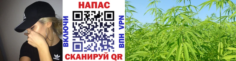 Марихуана White Widow  Малоярославец 
