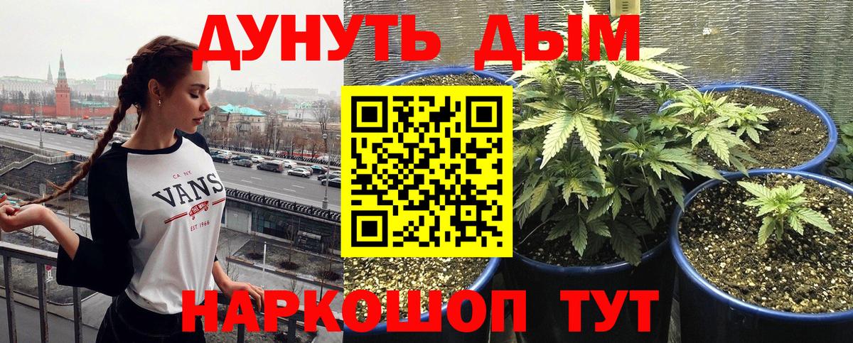 Бошки марихуана планчик  Каннабис MAZAR  Бошки марихуана гибрид  Малоярославец  Вход с VPN 